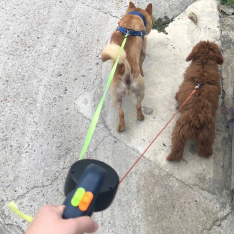 Double Retractable Dog Leash